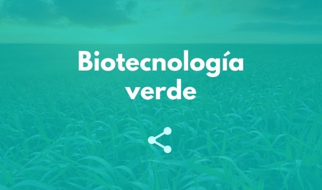 Biotecnología verde