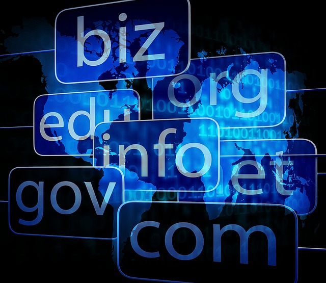 ¿Qué es un dominio web y donde puedes adquirir uno?